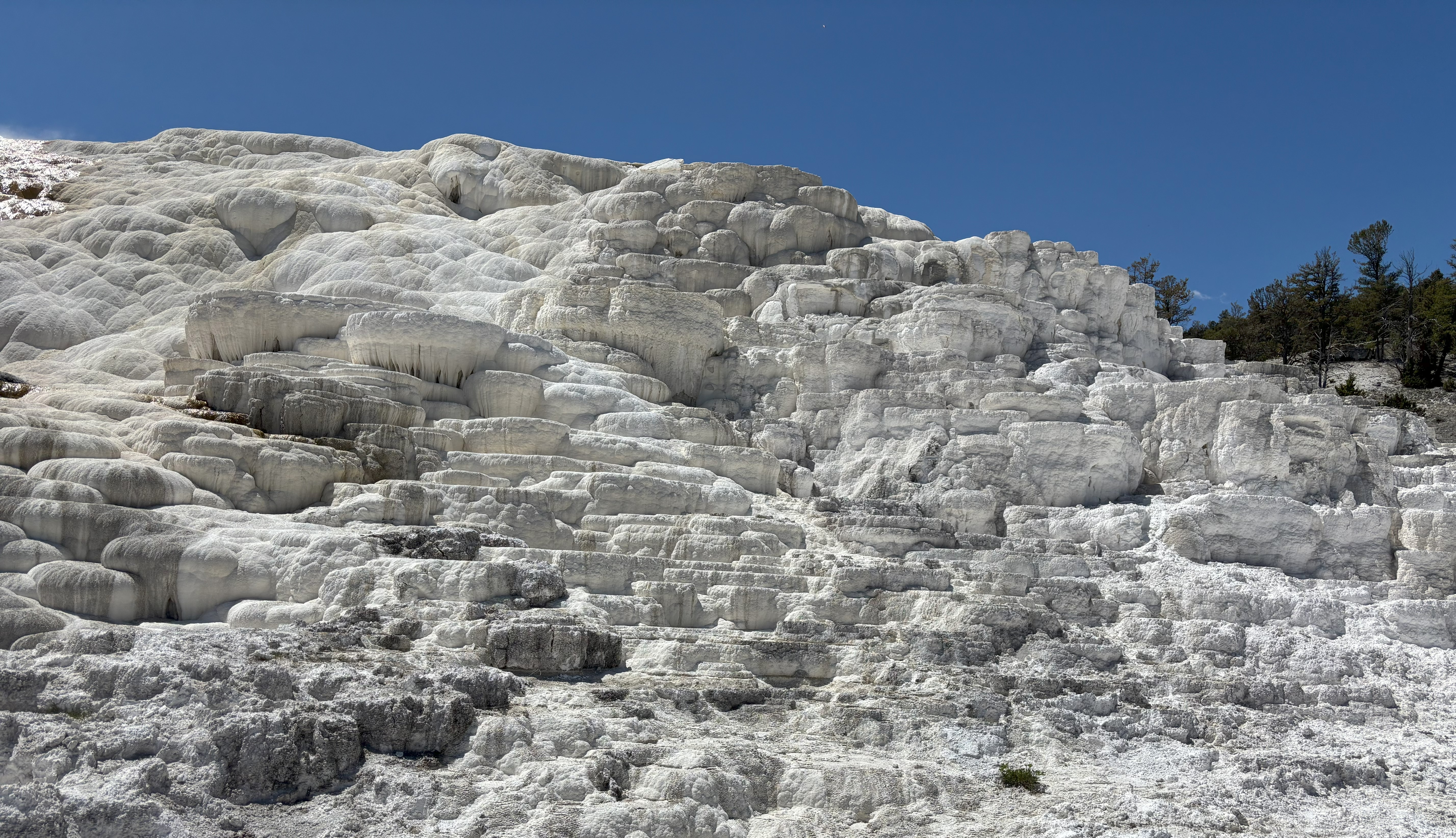 Photo 31 of Yellowstone