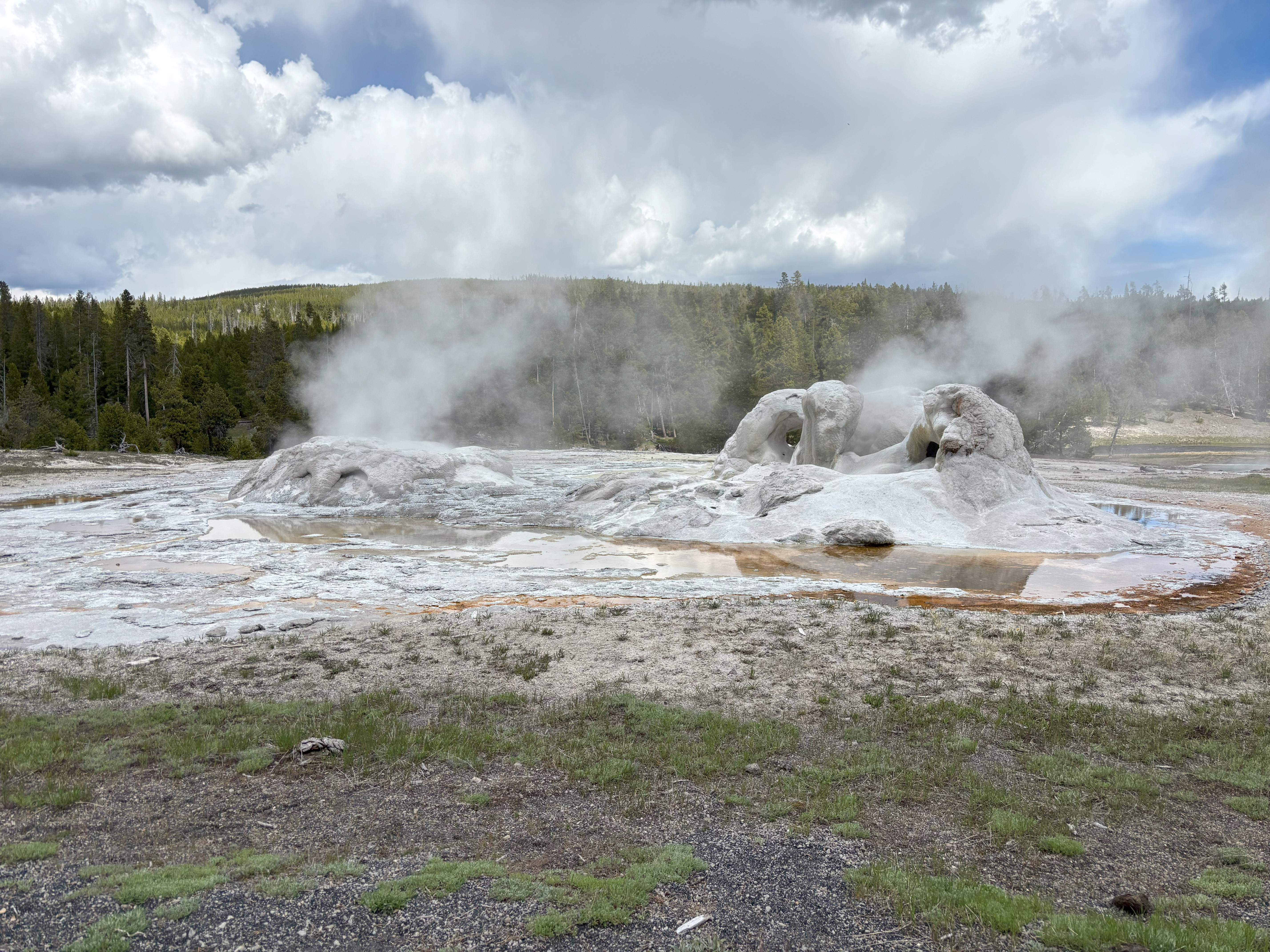 Photo 32 of Yellowstone