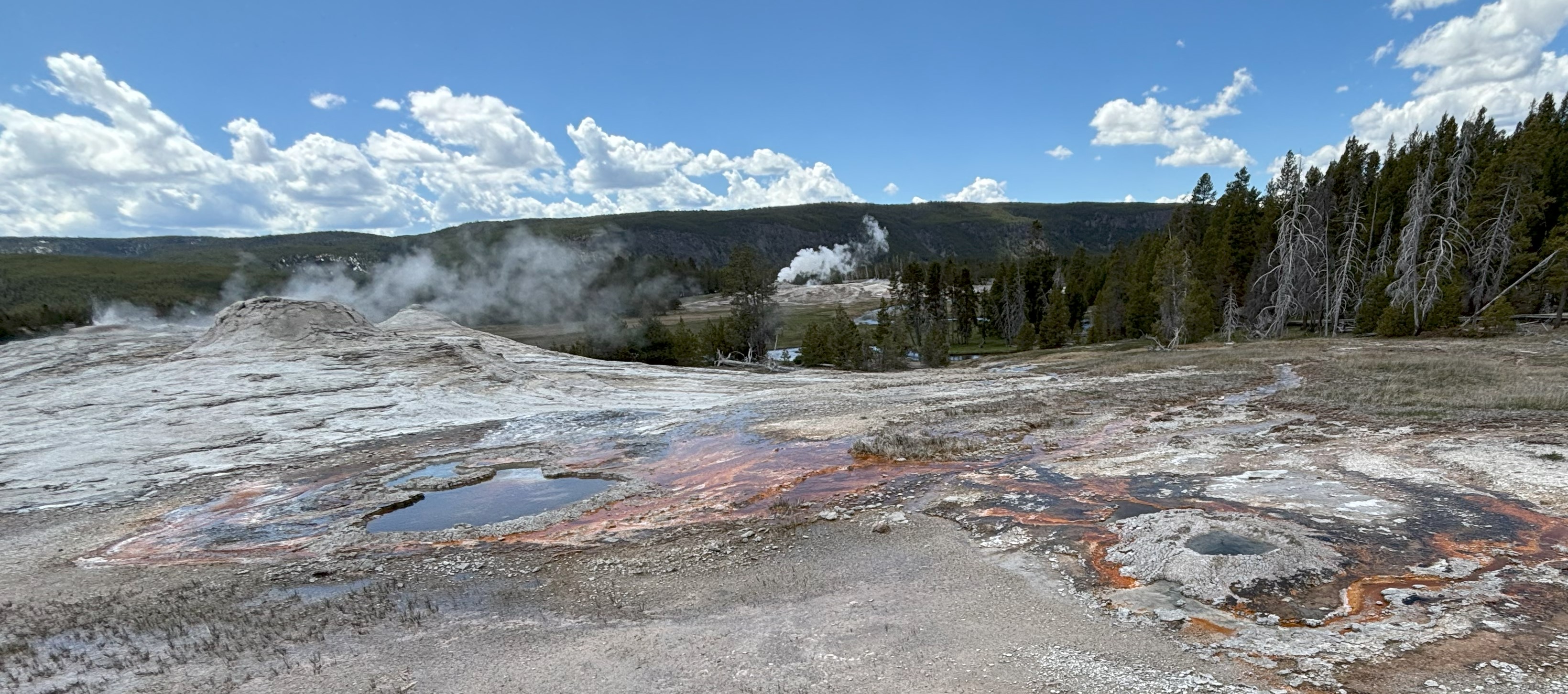 Photo 33 of Yellowstone