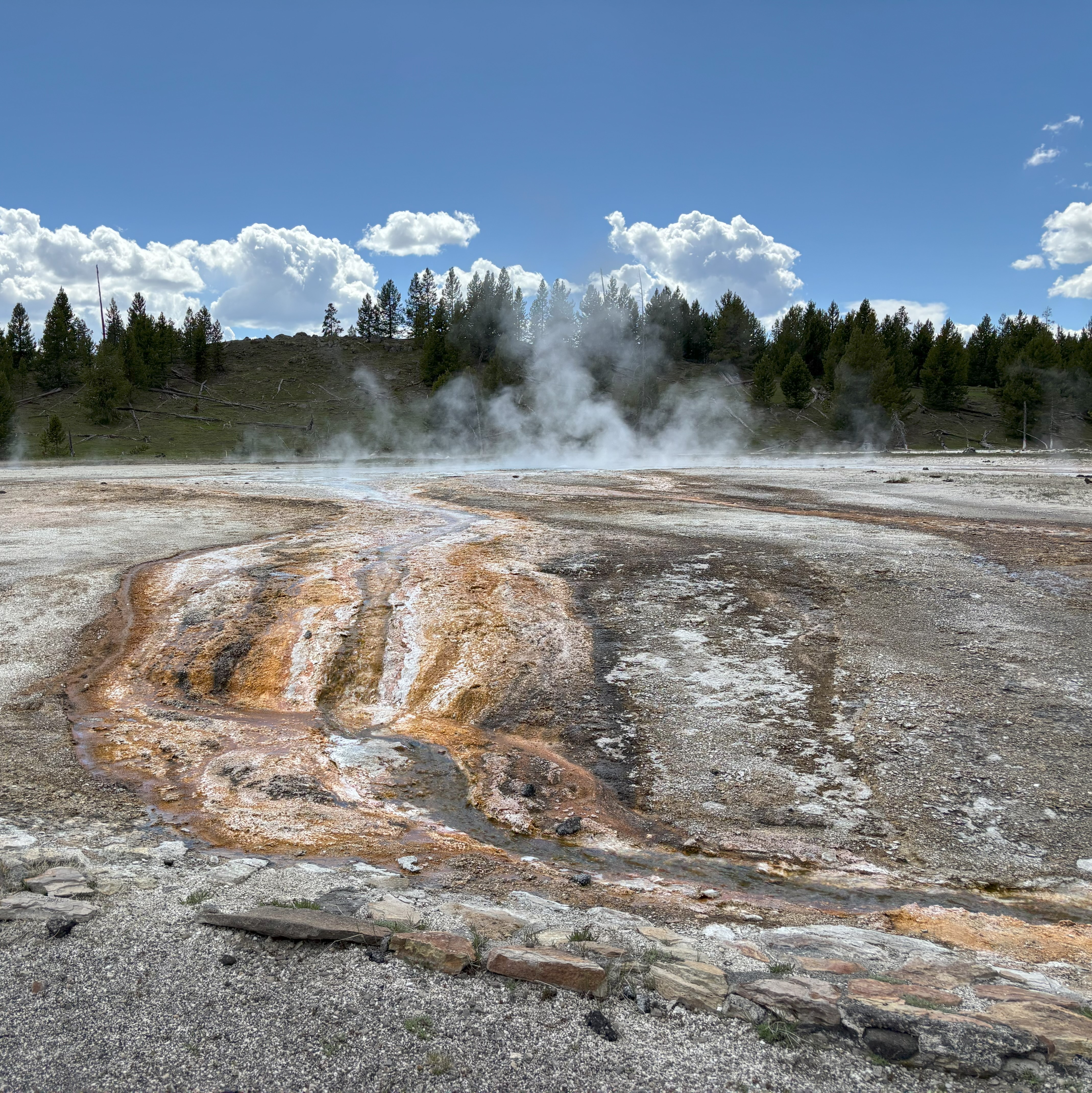 Photo 34 of Yellowstone