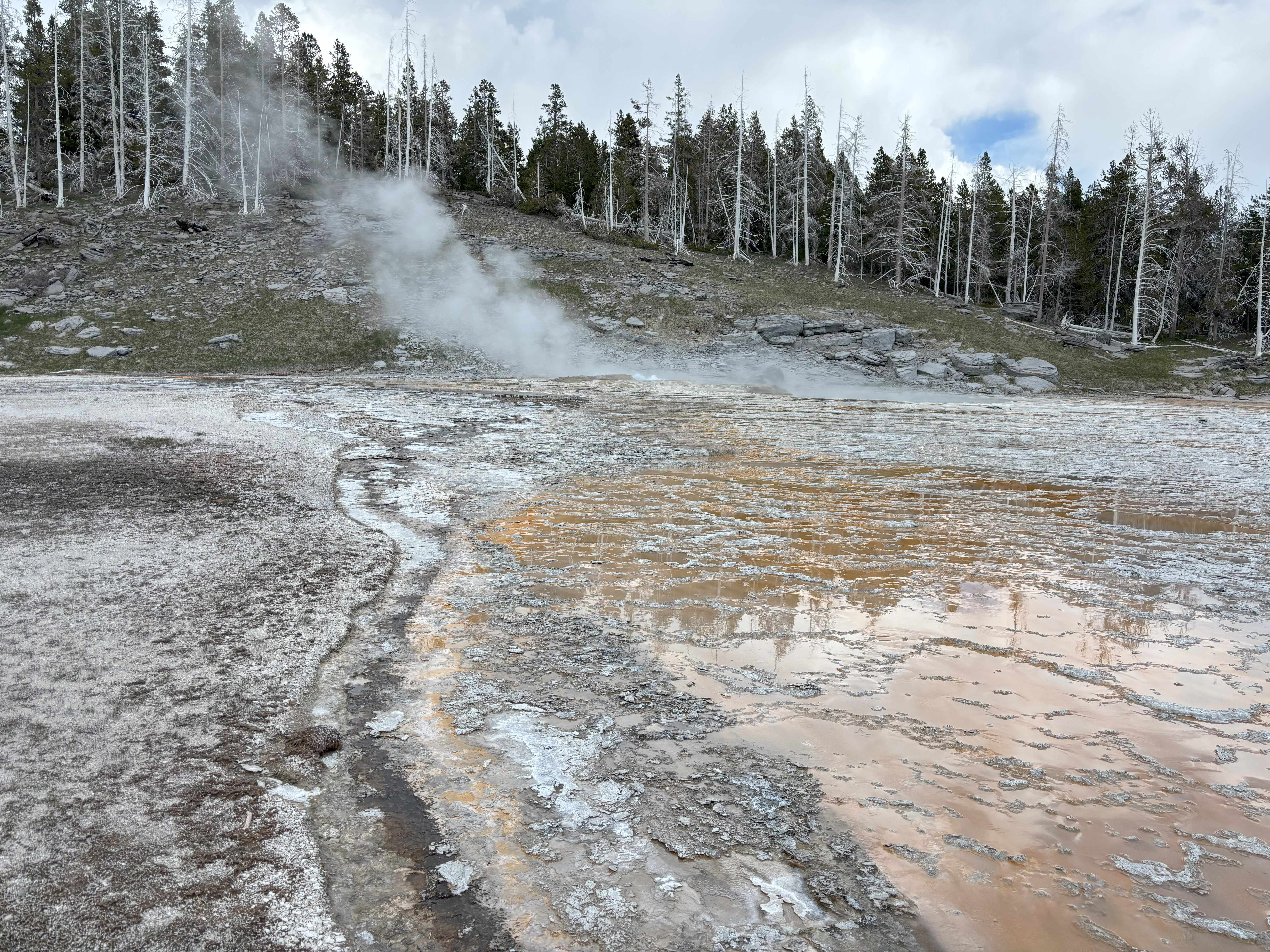 Photo 35 of Yellowstone