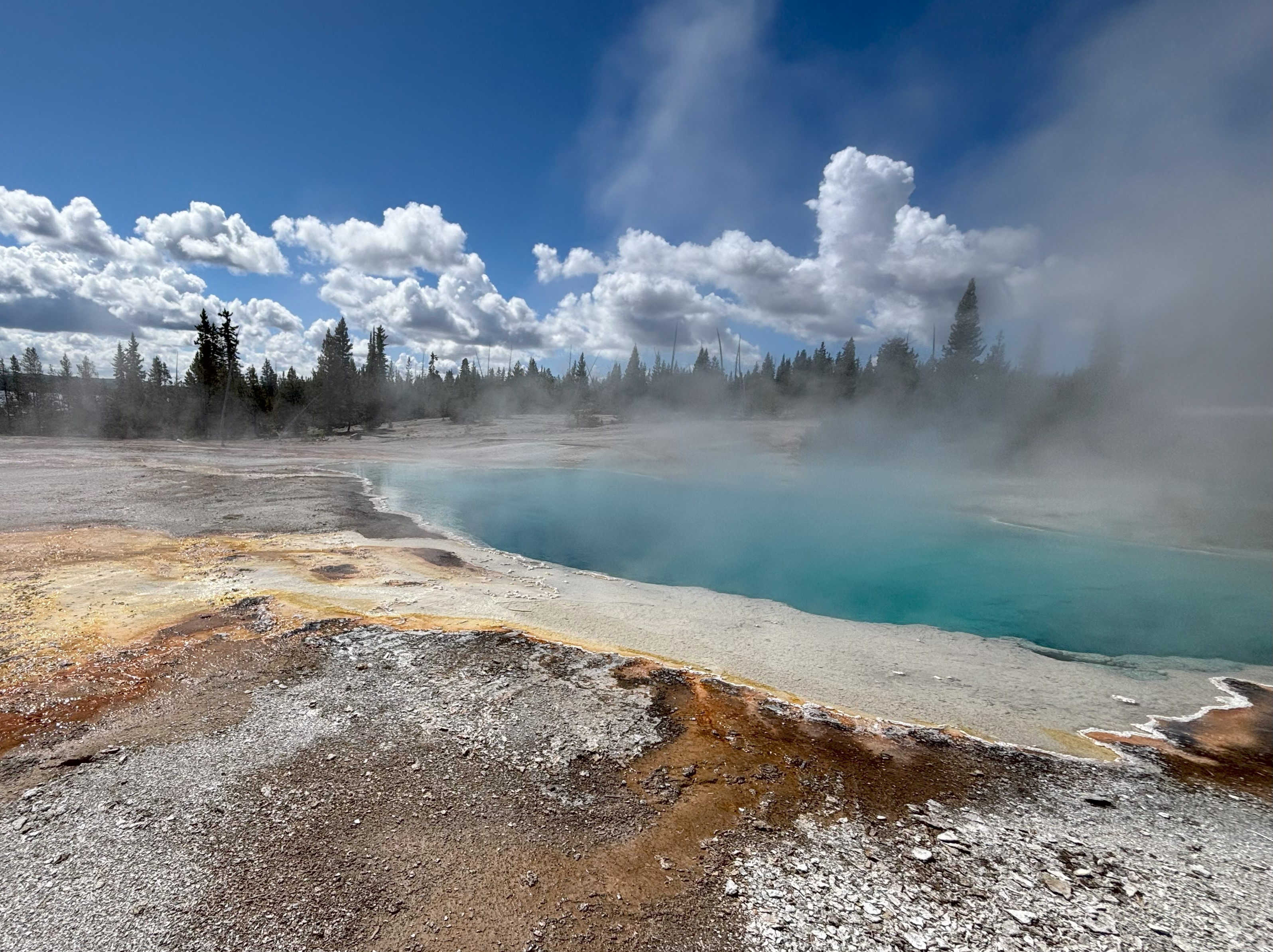 Photo 36 of Yellowstone