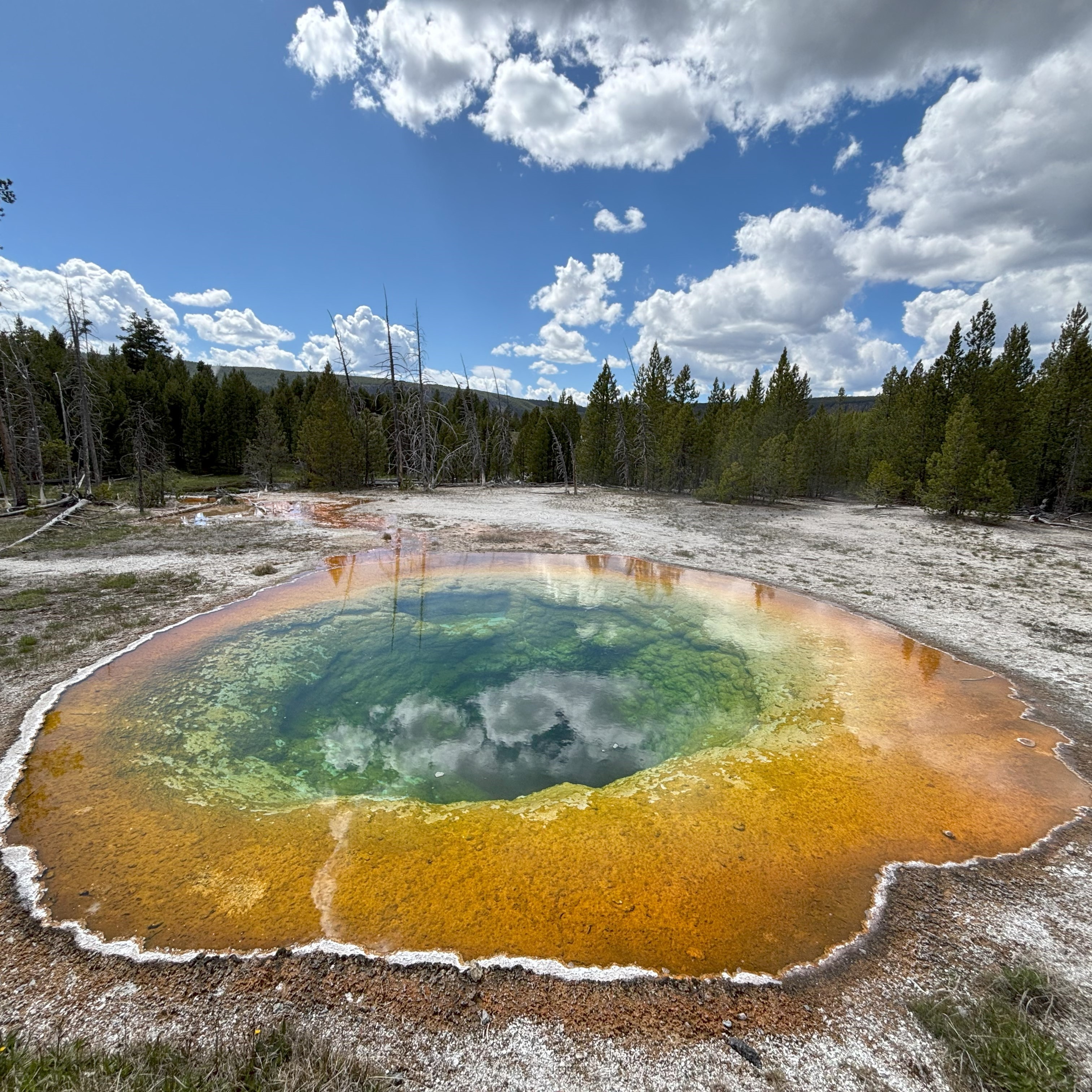 Yellowstone Preview
