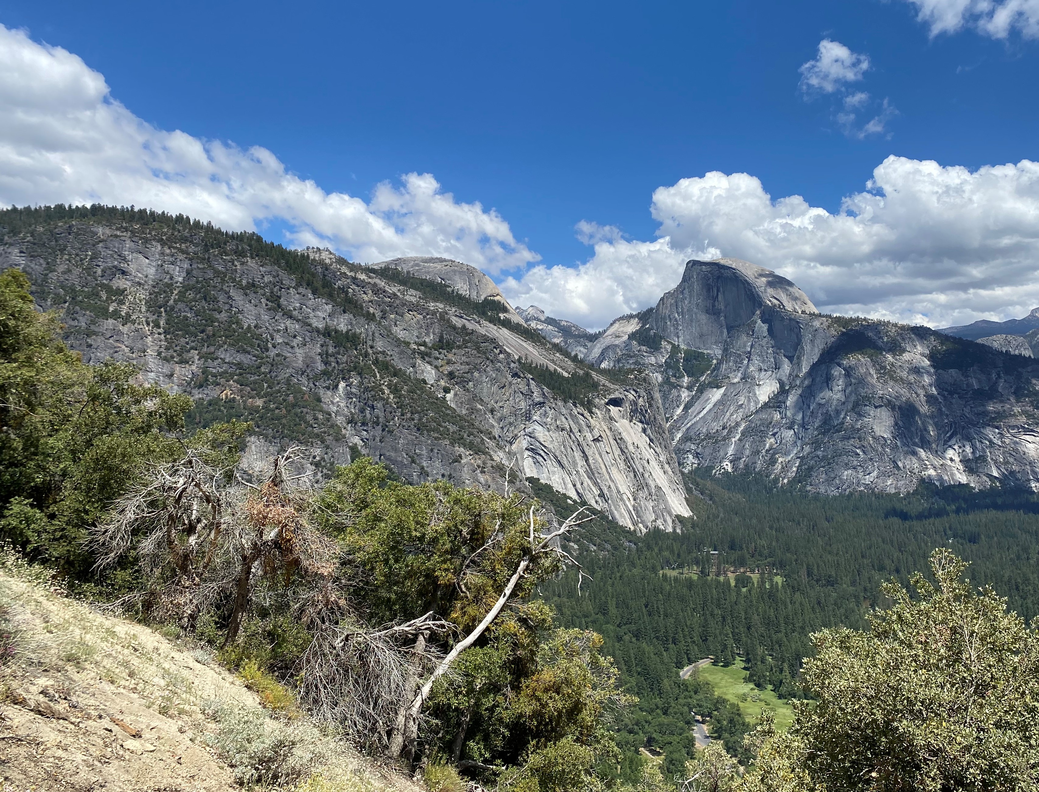 Photo 10 of Yosemite