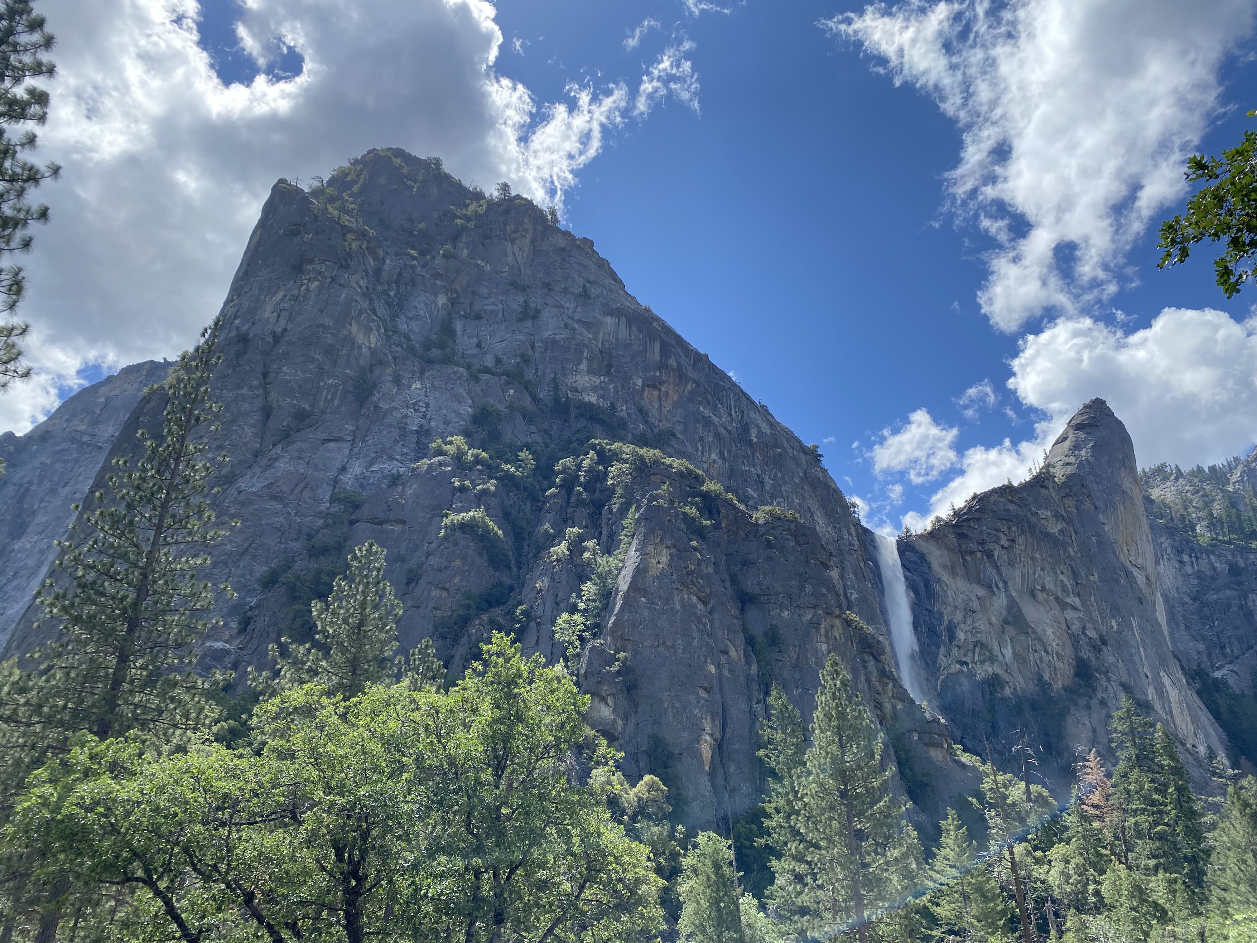 Photo 11 of Yosemite