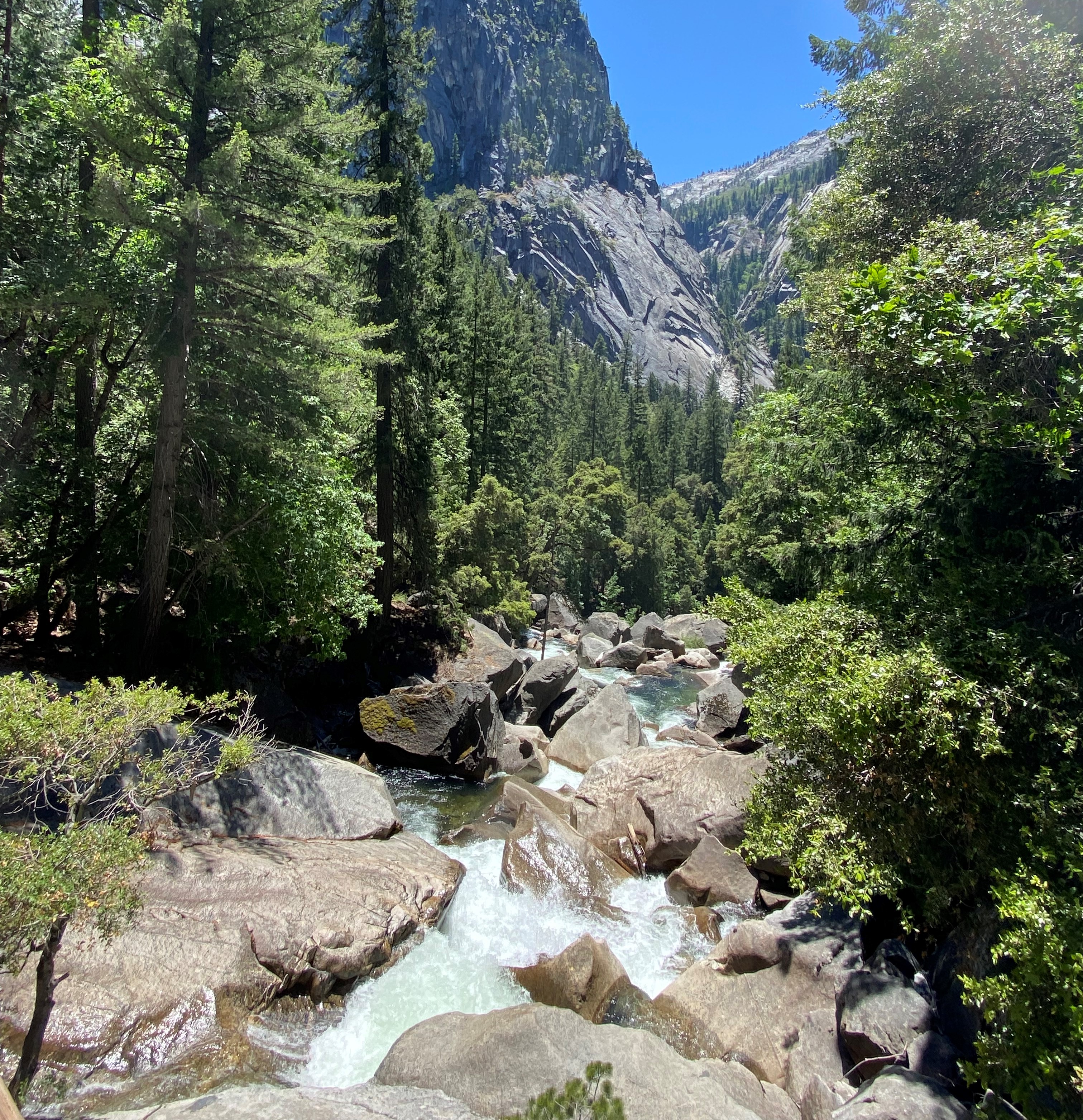 Photo 4 of Yosemite
