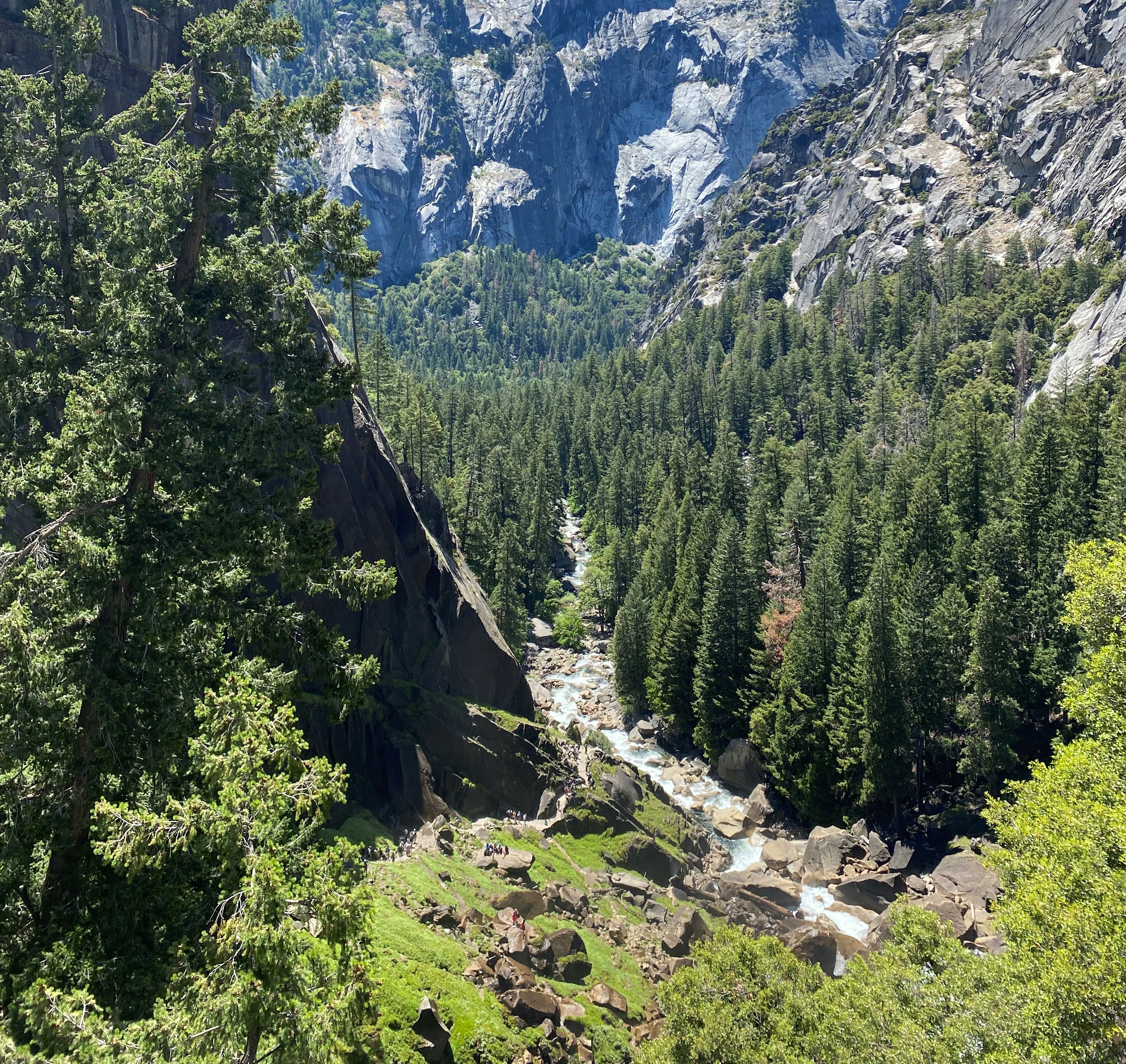 Photo 8 of Yosemite