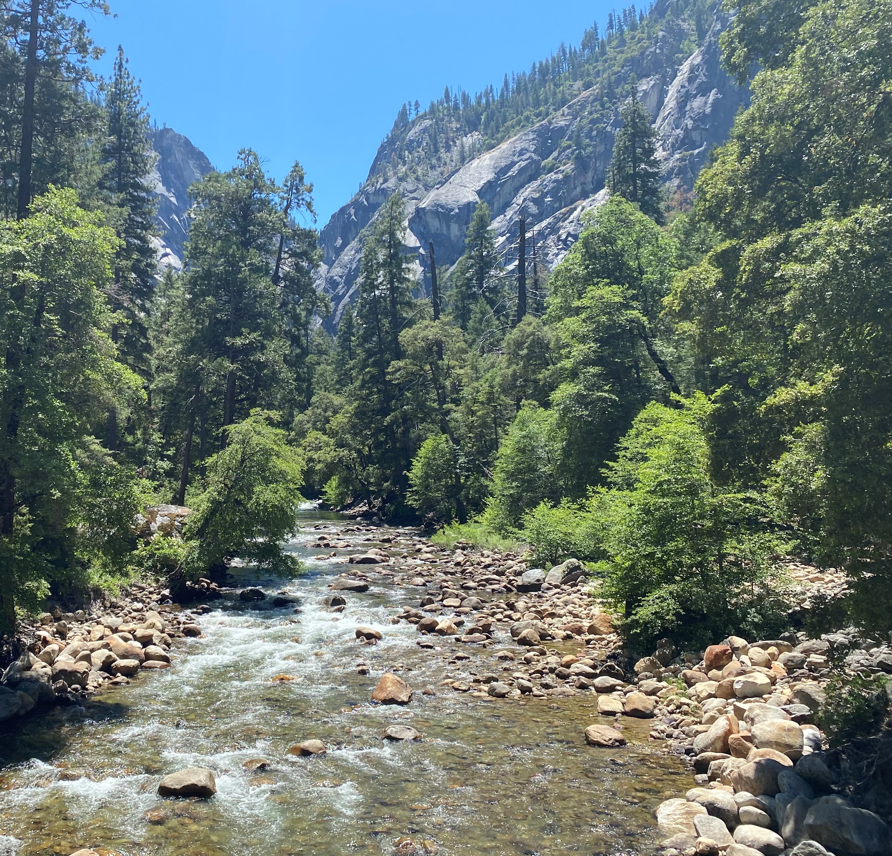 Photo 9 of Yosemite