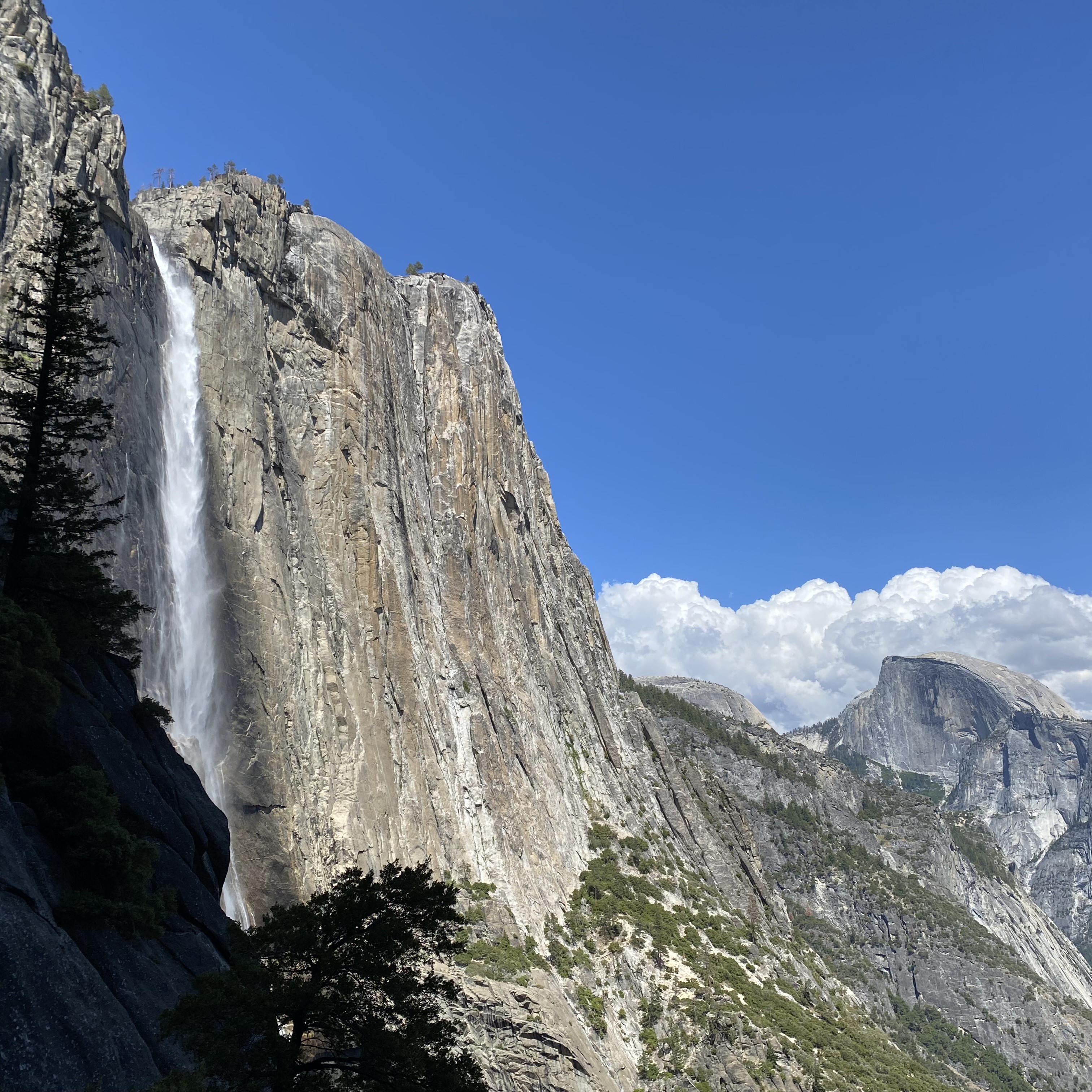 Yosemite Preview