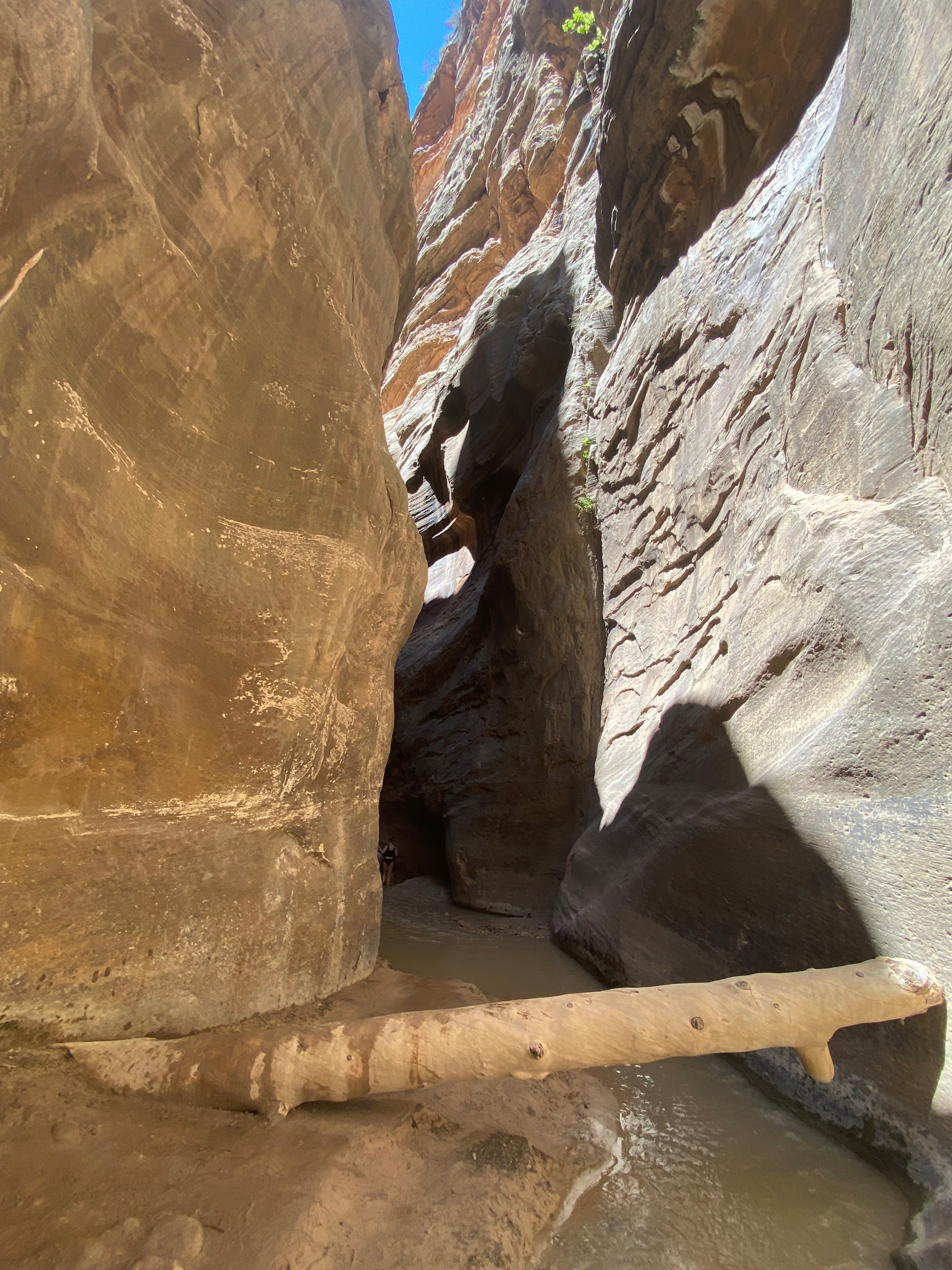 Photo 1 of Zion