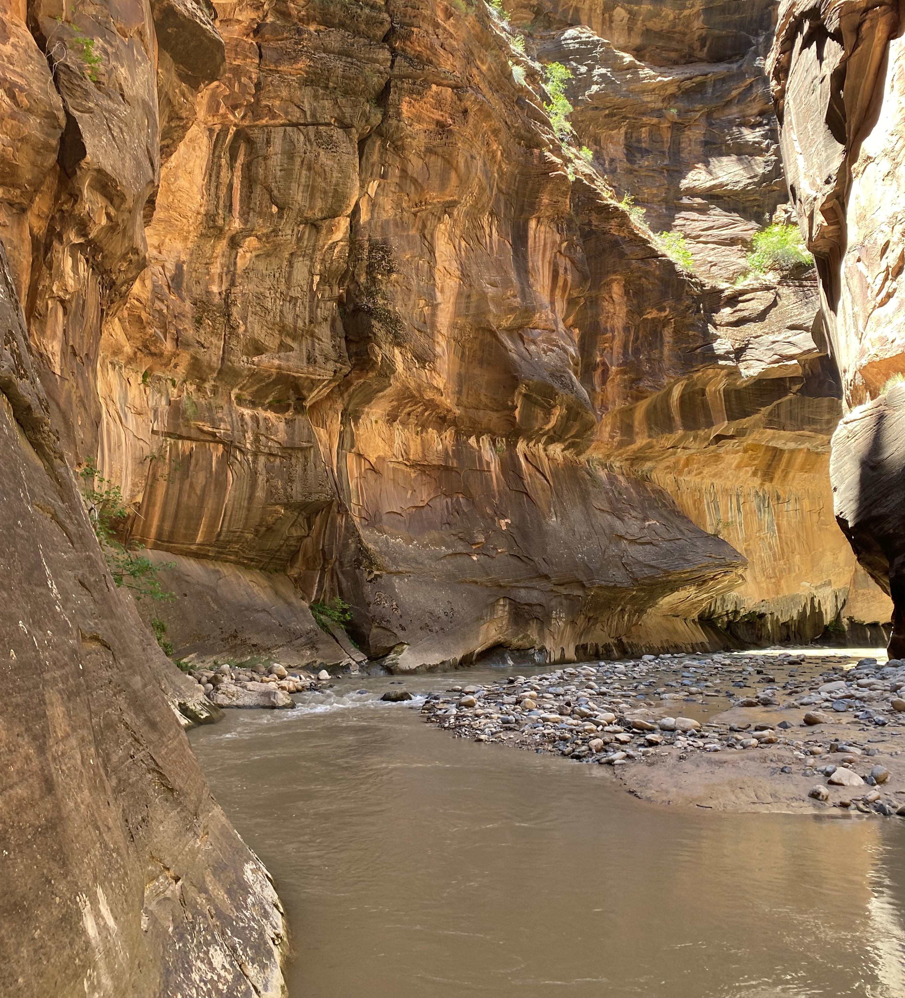 Photo 3 of Zion