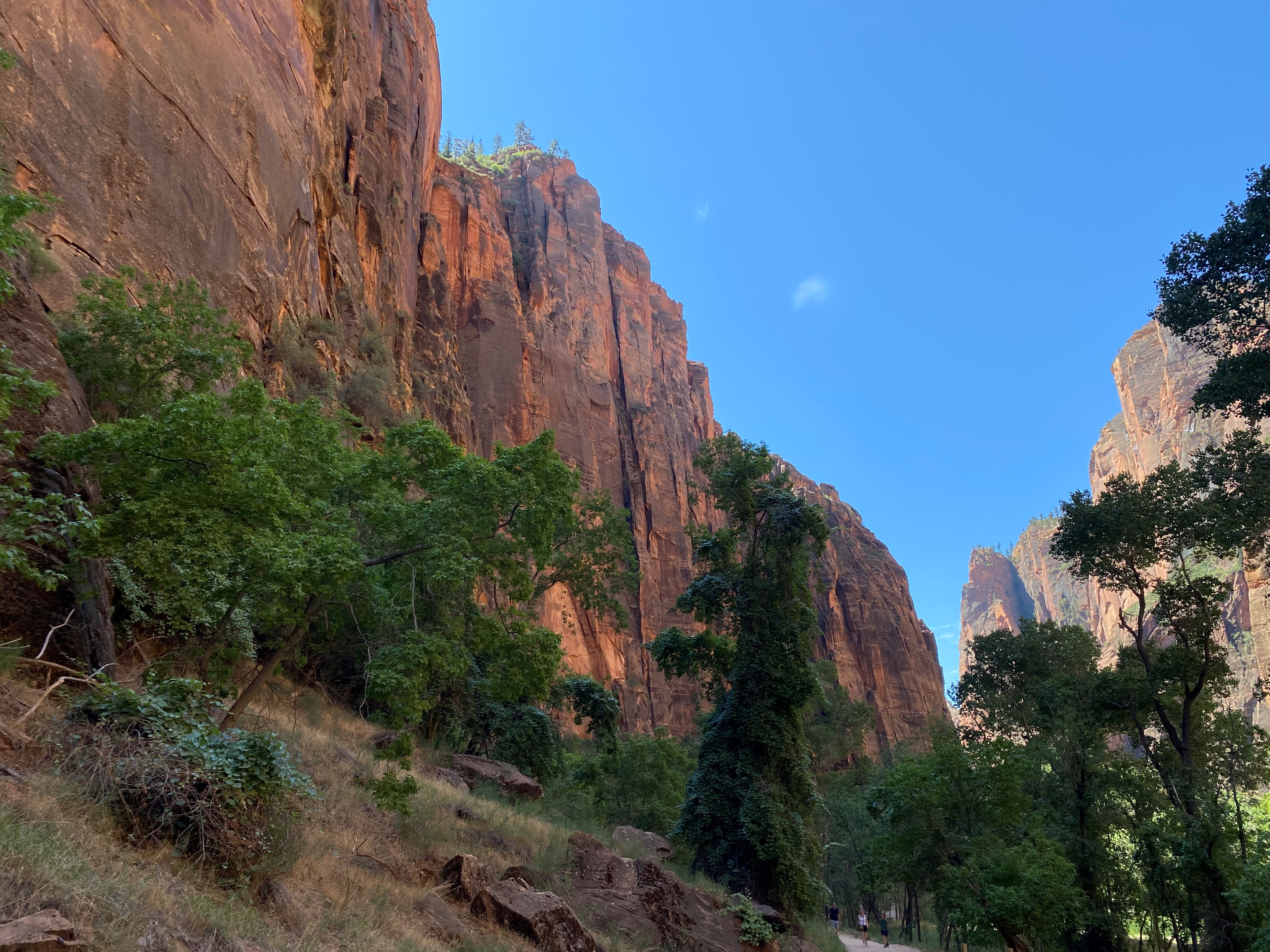 Photo 4 of Zion