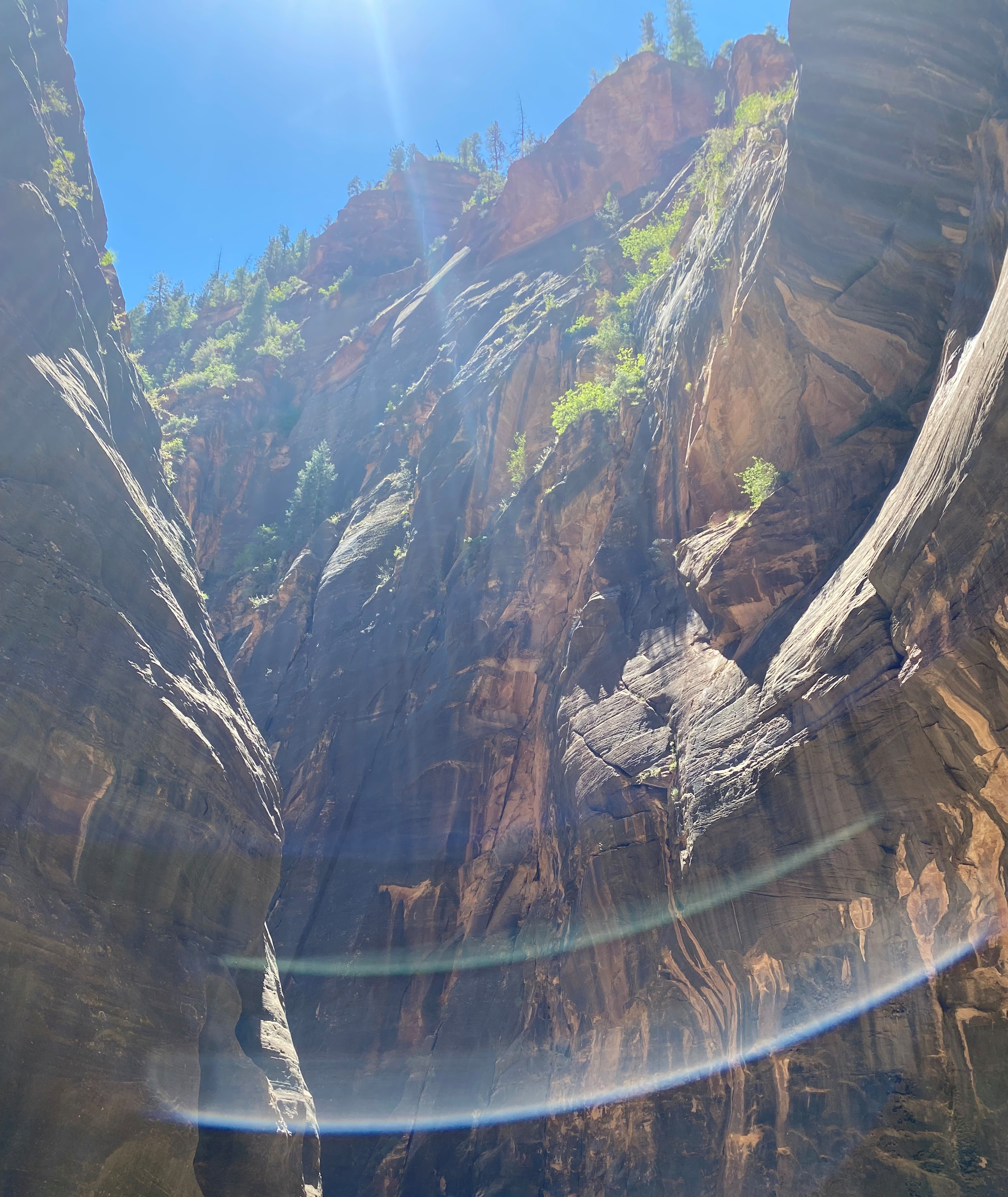Photo 5 of Zion
