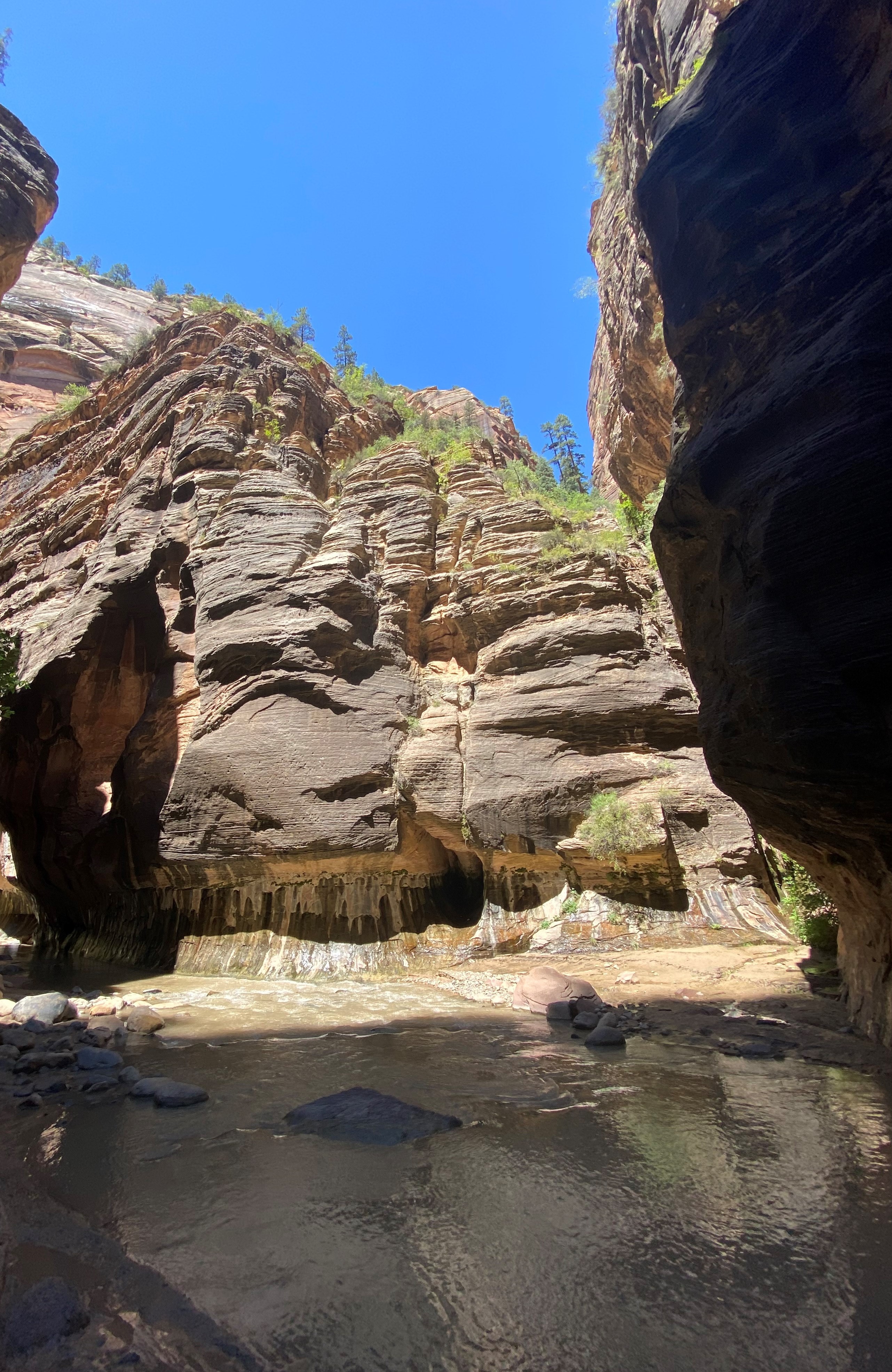 Photo 6 of Zion