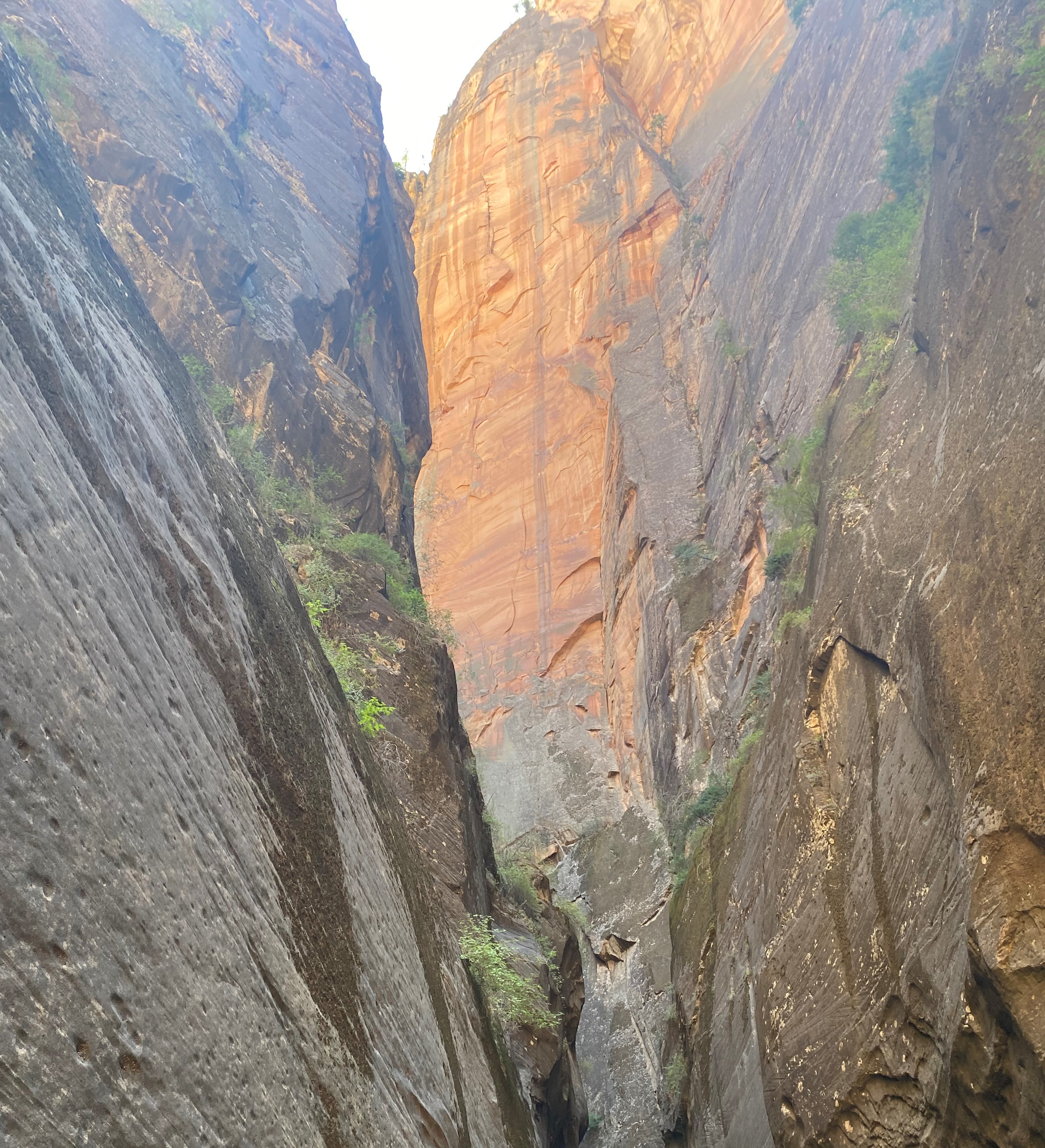 Photo 7 of Zion
