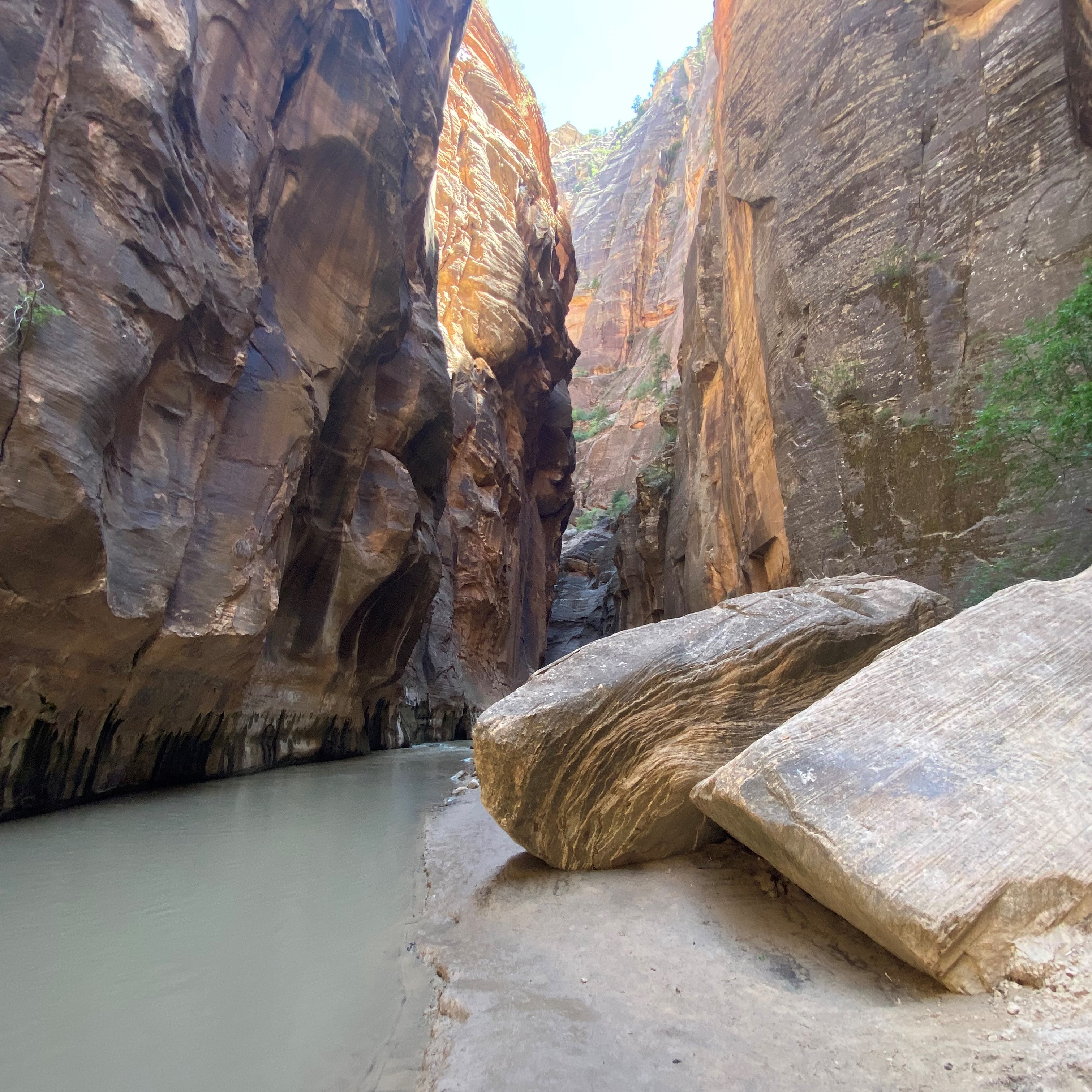 Zion Preview